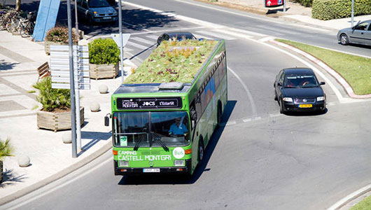 Green-Bus-6